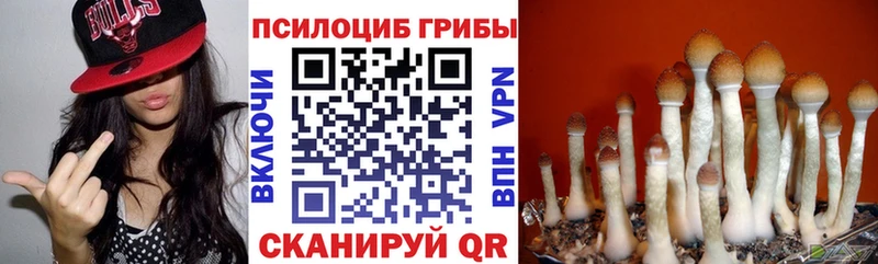 Галлюциногенные грибы ЛСД как найти Буйнакск