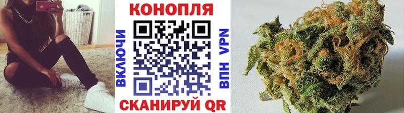 купить наркоту  Буйнакск  Канабис ГИДРОПОН 